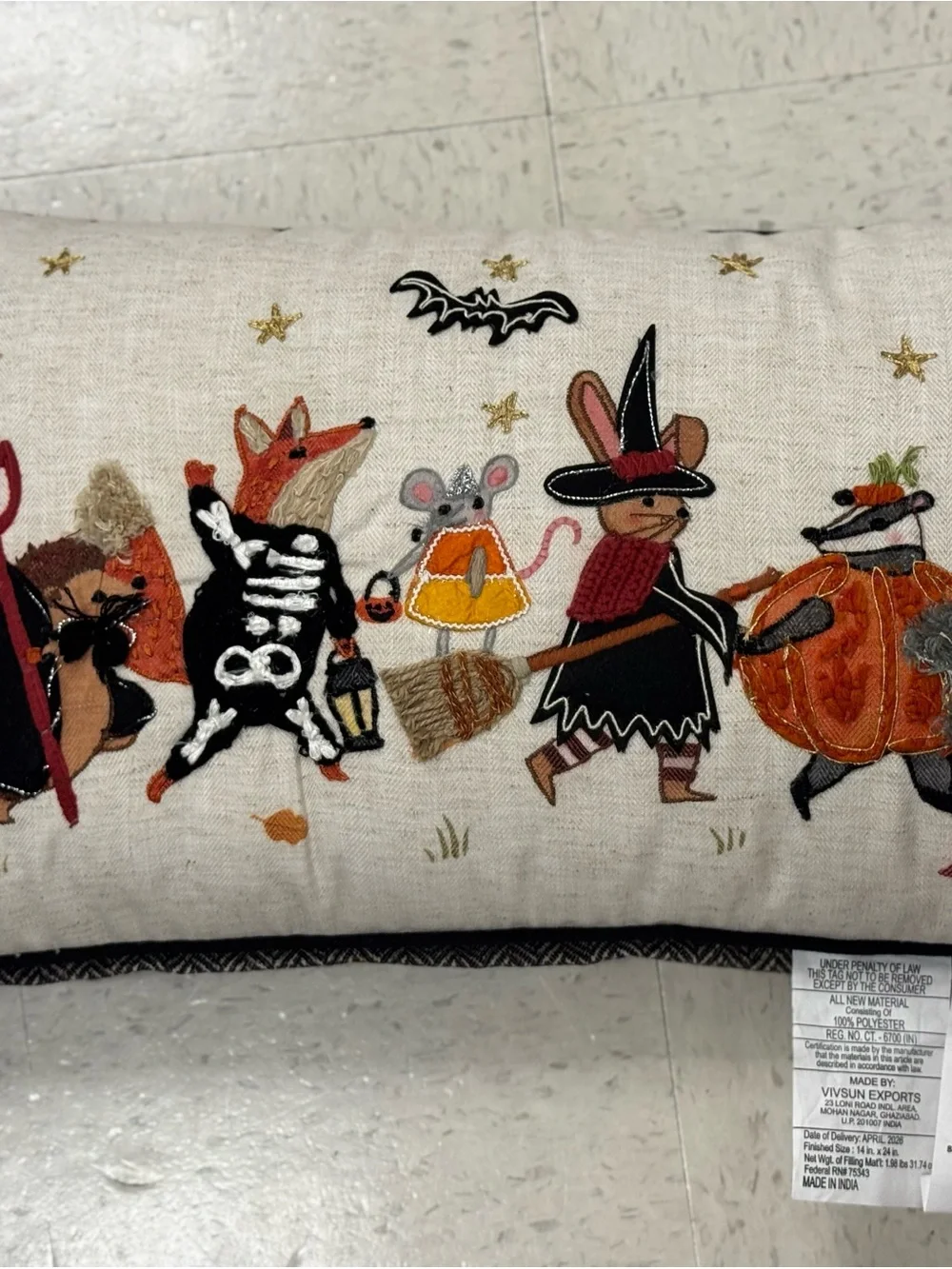 Halloween Parade Embroidered Decorative Pillow - White